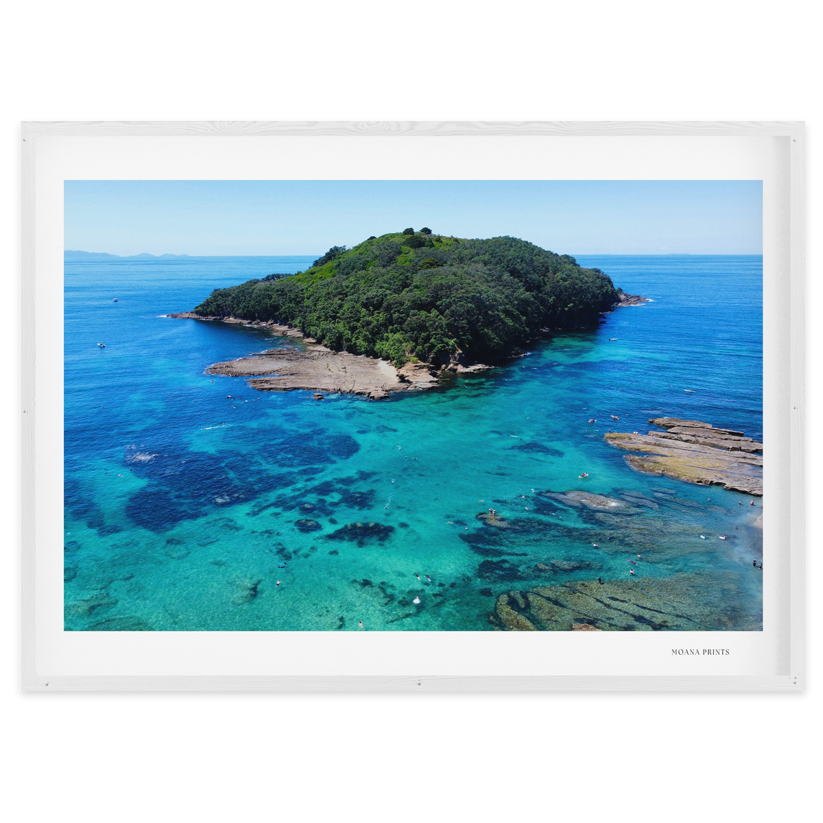 Goat Island Marine Reserve