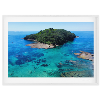 Goat Island Marine Reserve