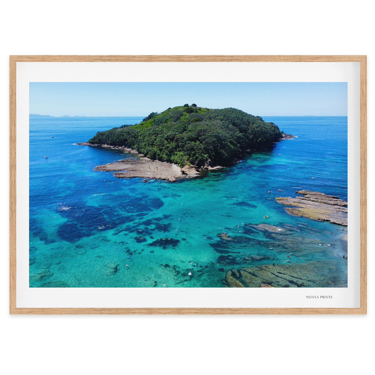 Goat Island Marine Reserve
