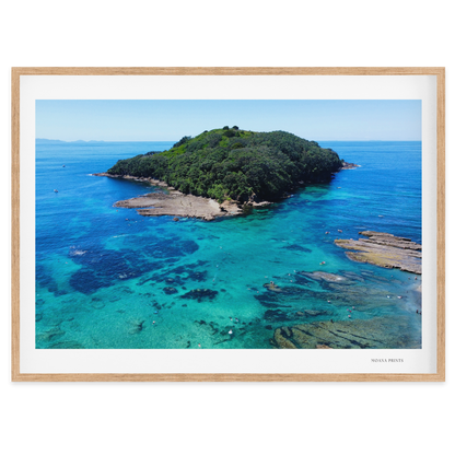 Goat Island Marine Reserve