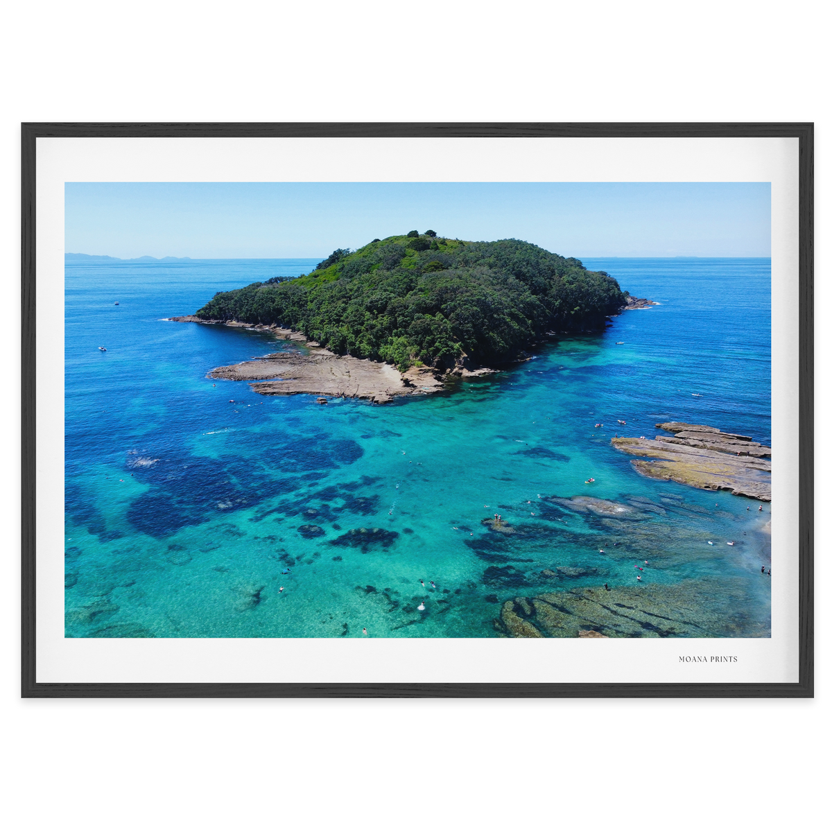 Goat Island Marine Reserve