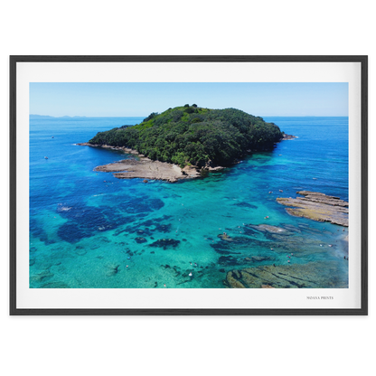 Goat Island Marine Reserve