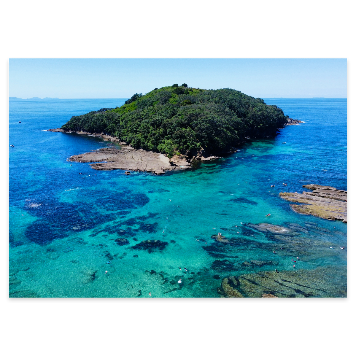 Goat Island Marine Reserve