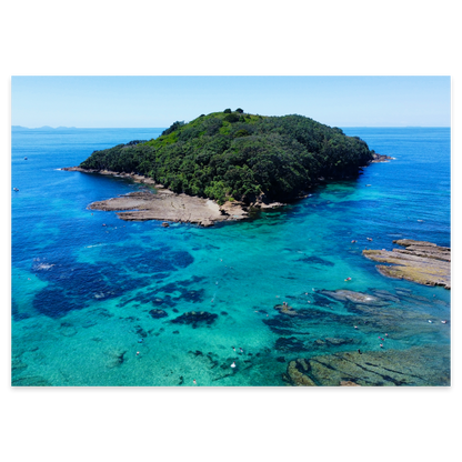 Goat Island Marine Reserve