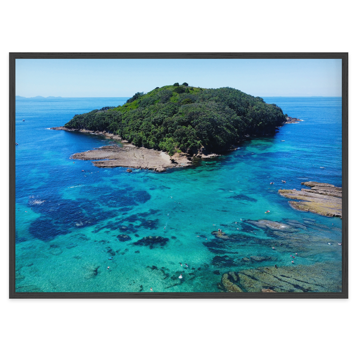 Goat Island Marine Reserve