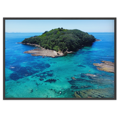 Goat Island Marine Reserve