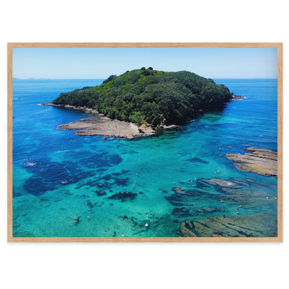 Goat Island Marine Reserve