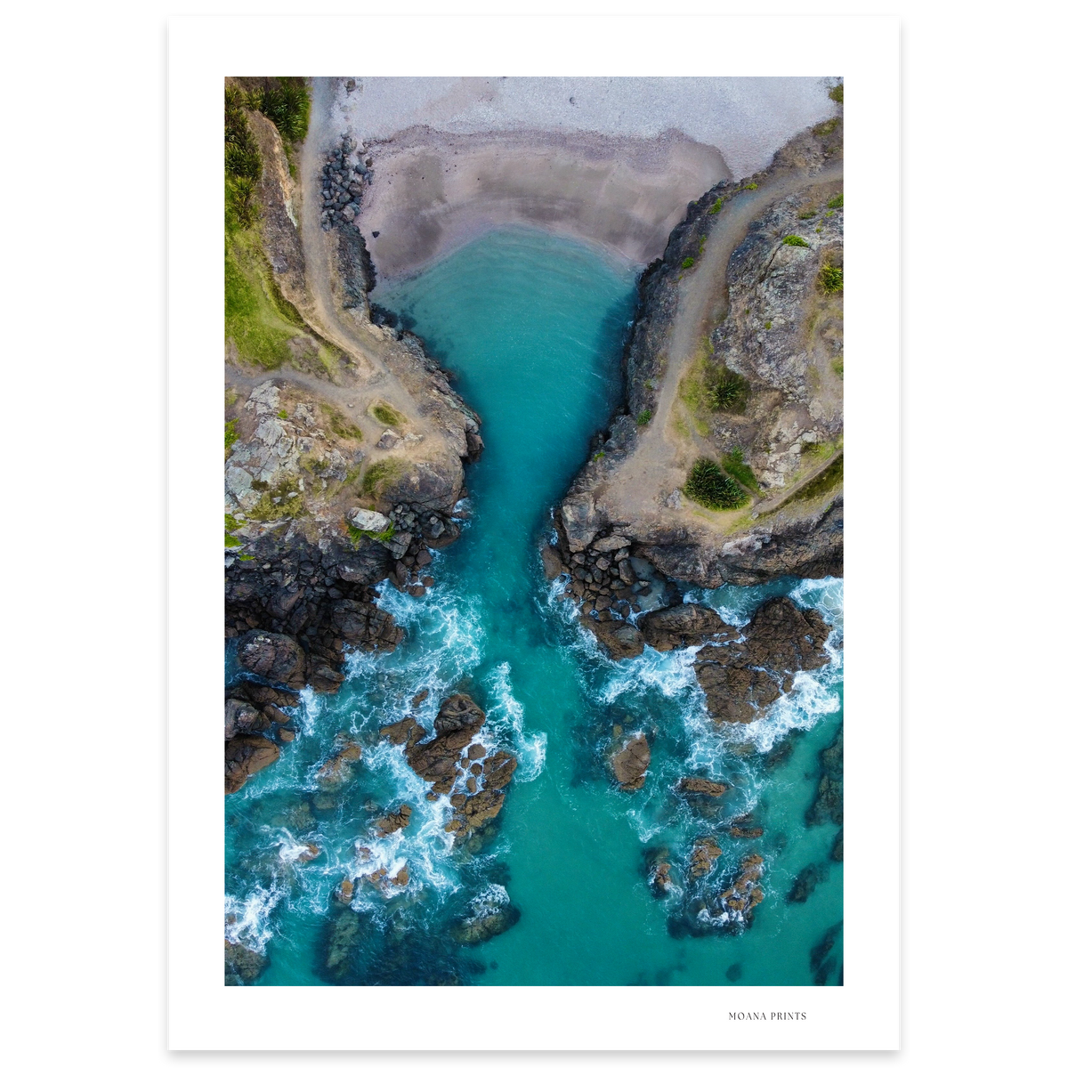 Hidden Gem of Te Ārai