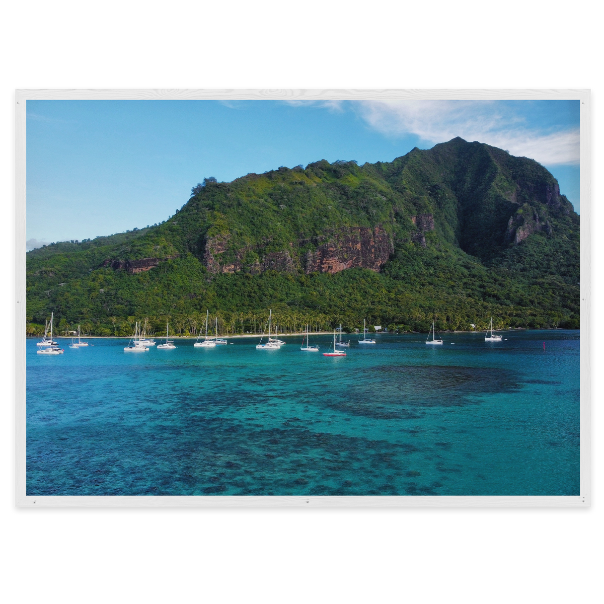 Island Dreams