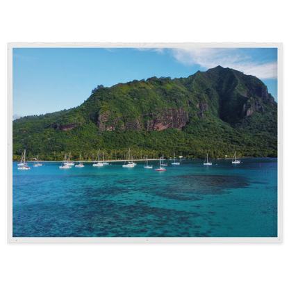 Island Dreams