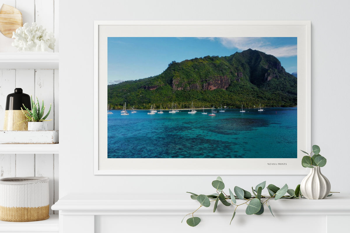 Island Dreams