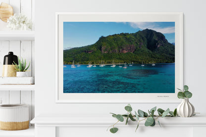 Island Dreams
