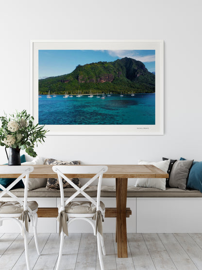 Island Dreams