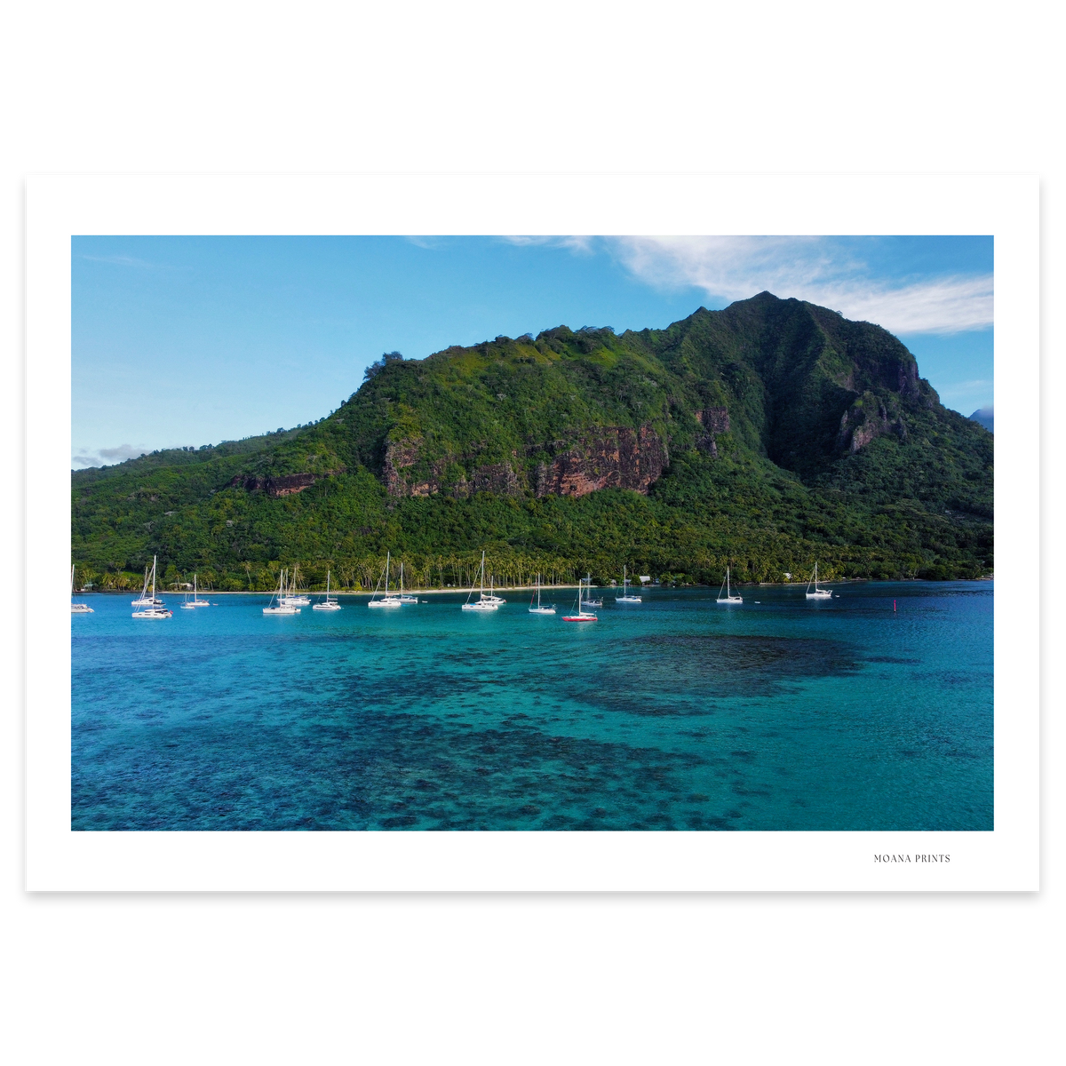 Island Dreams