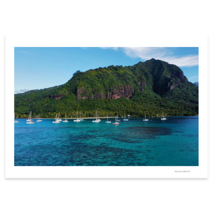 Island Dreams