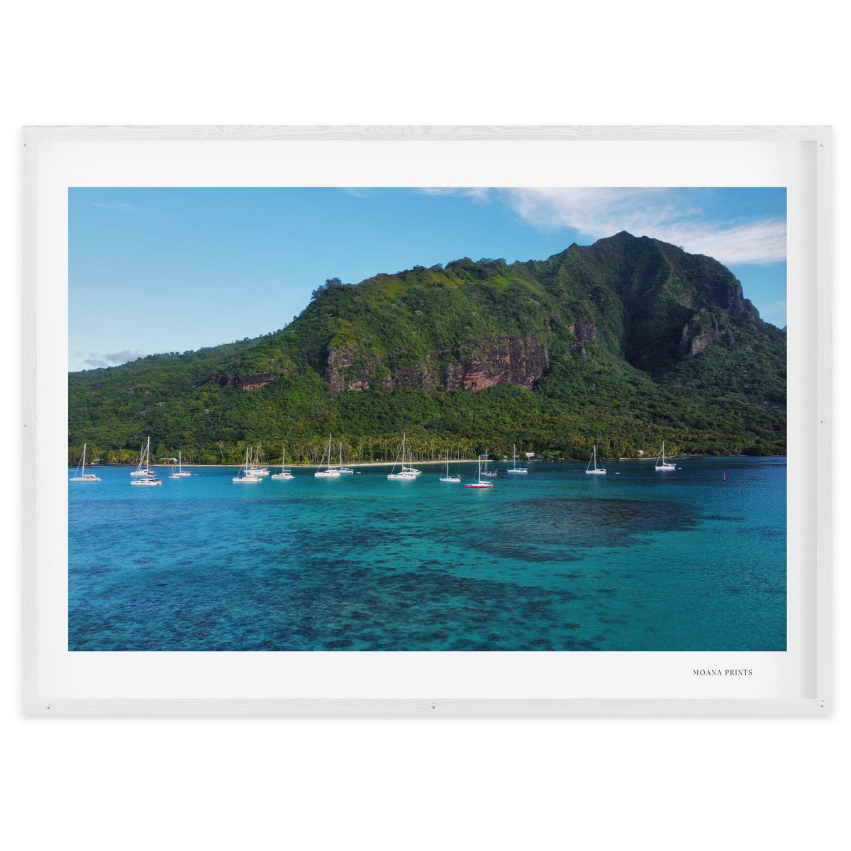 Island Dreams