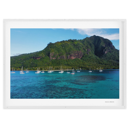 Island Dreams