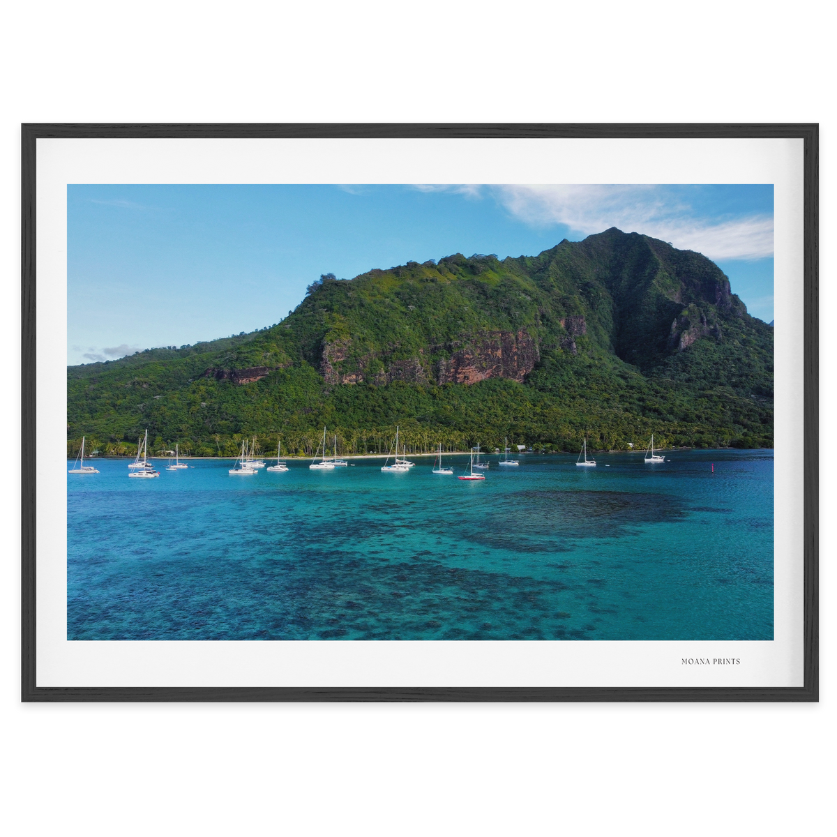 Island Dreams