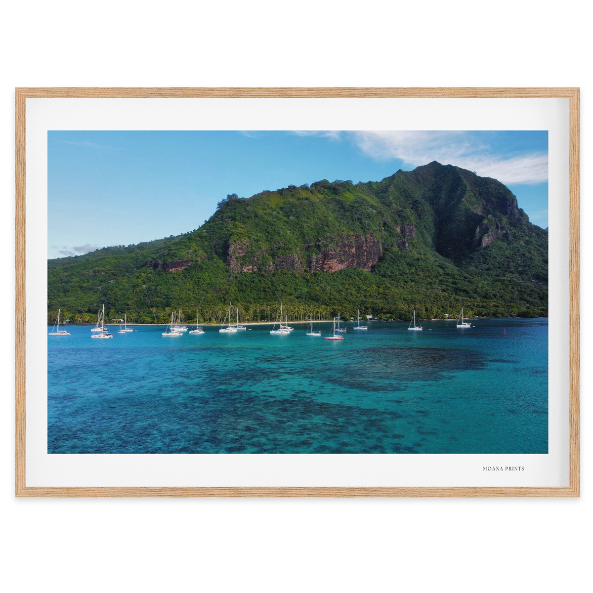 Island Dreams