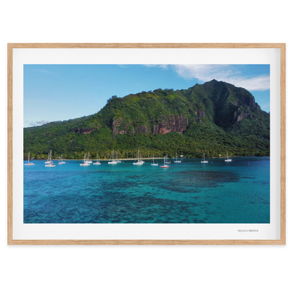 Island Dreams