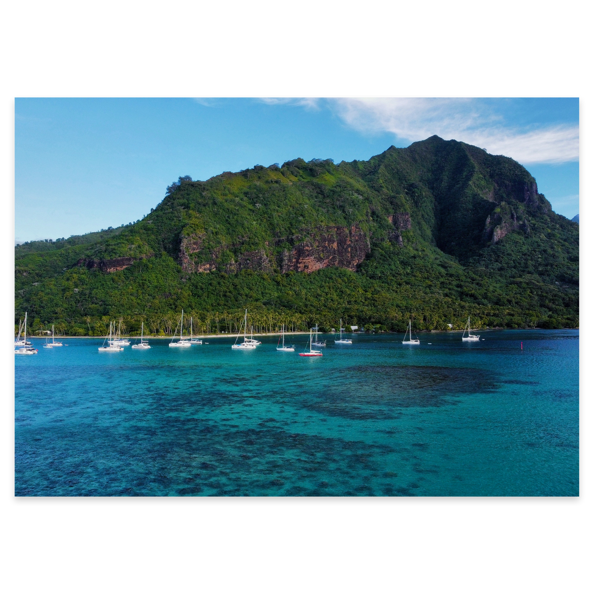 Island Dreams