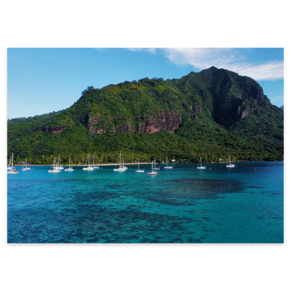 Island Dreams