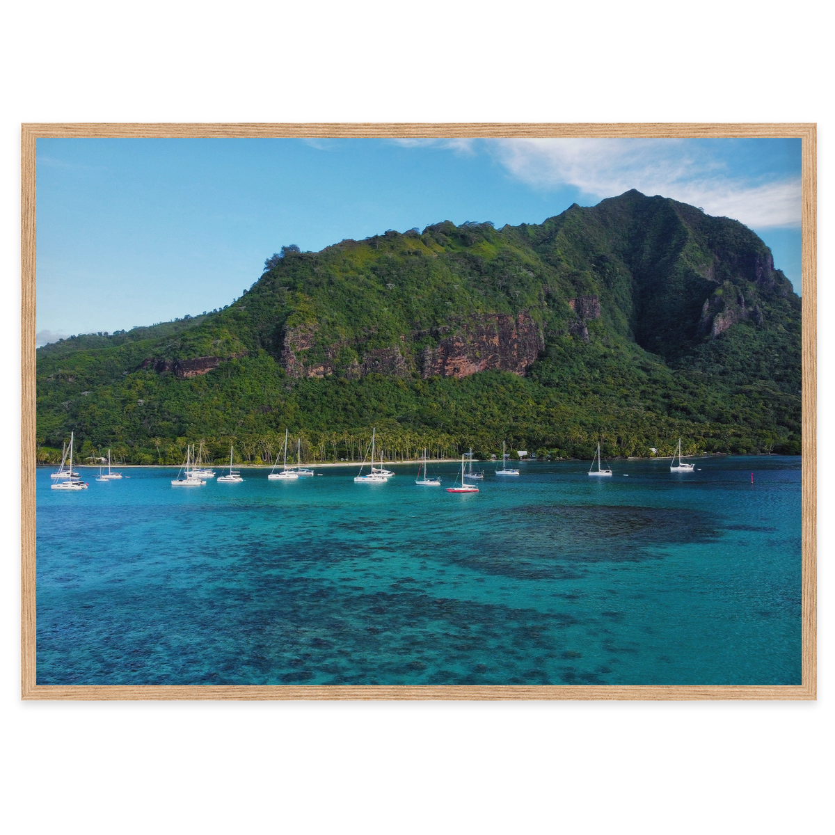 Island Dreams