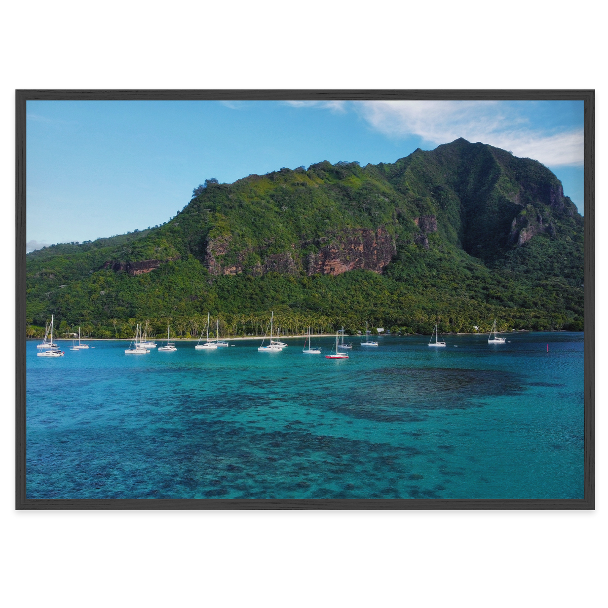 Island Dreams