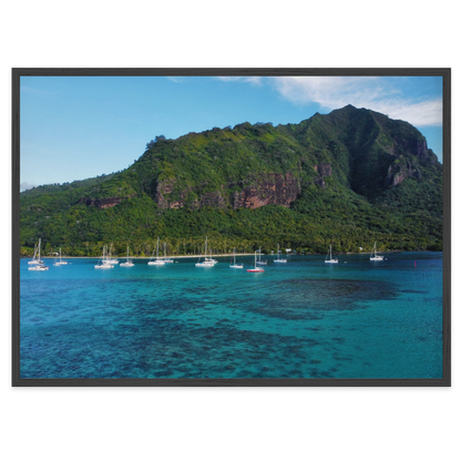 Island Dreams