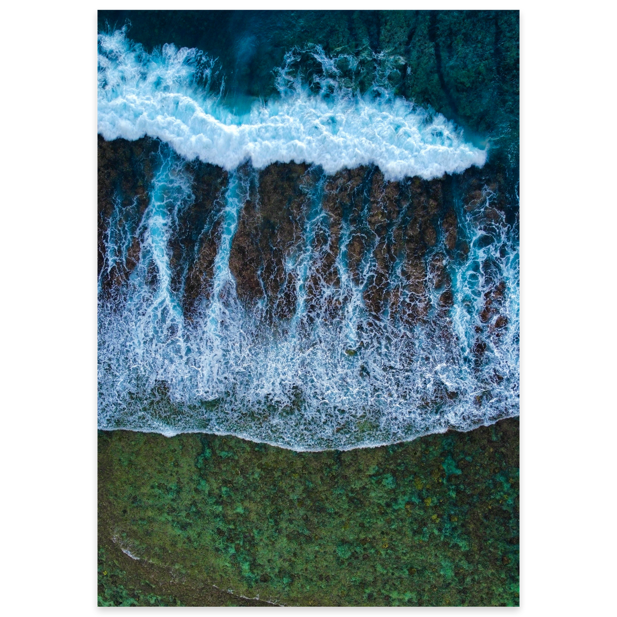 Moana Meets the Reef