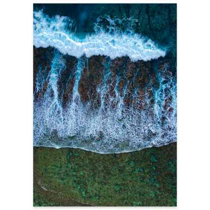 Moana Meets the Reef