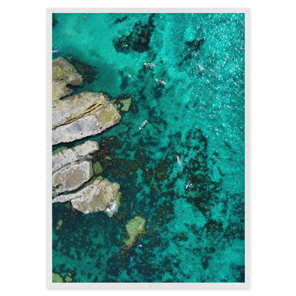 Paddling Paradise