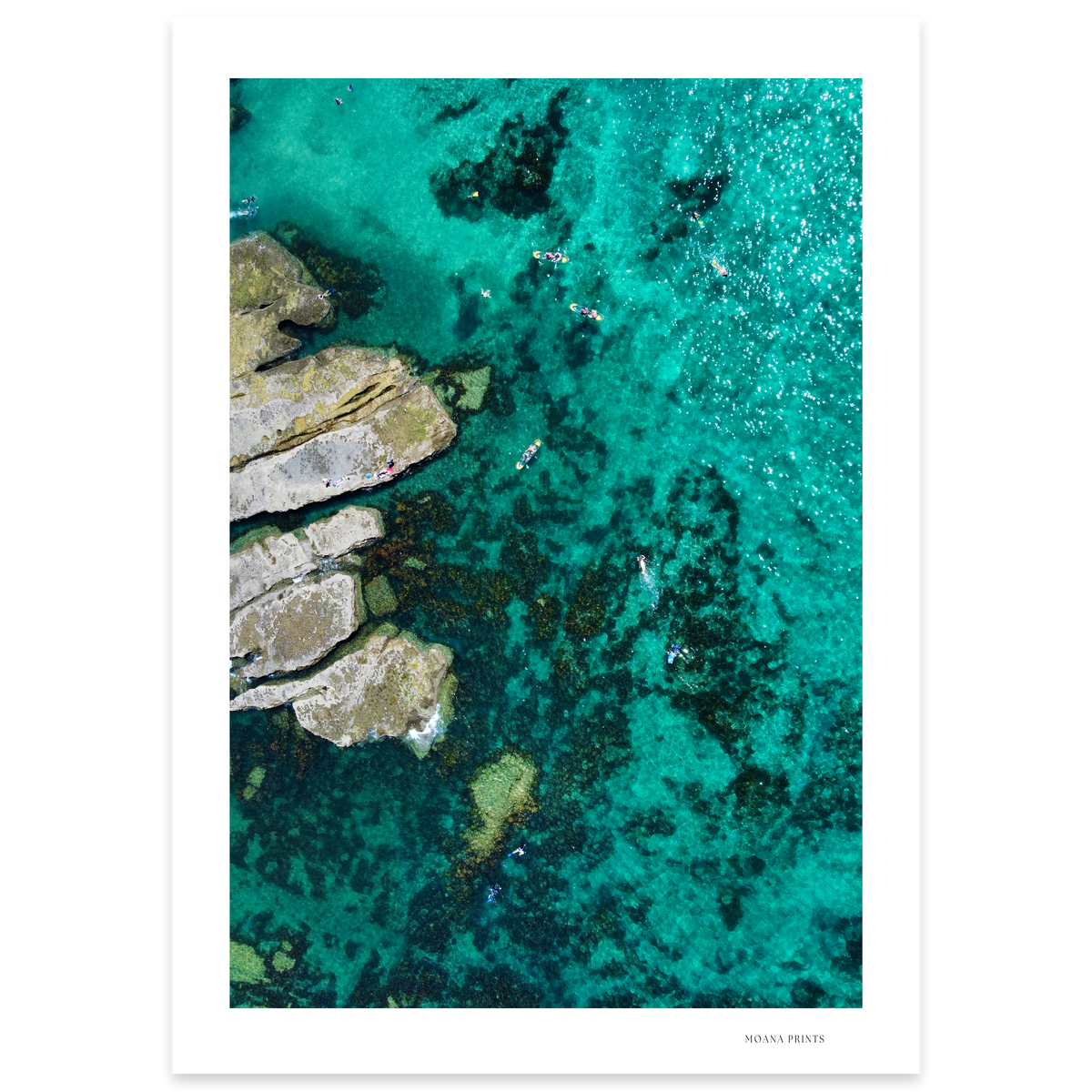 Paddling Paradise