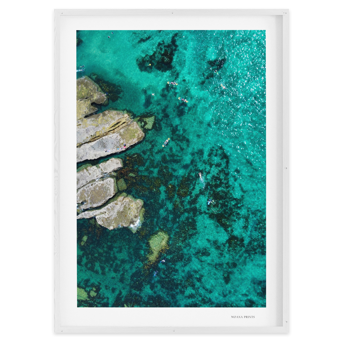 Paddling Paradise