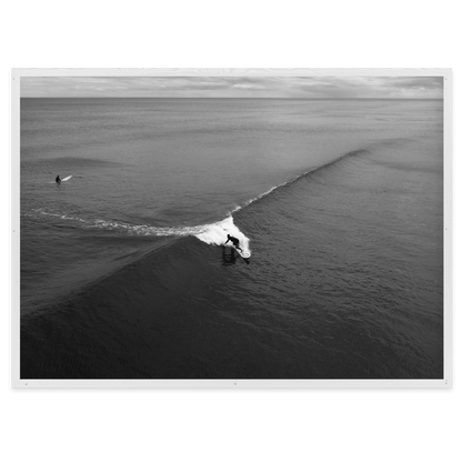 Port Waikato Carve