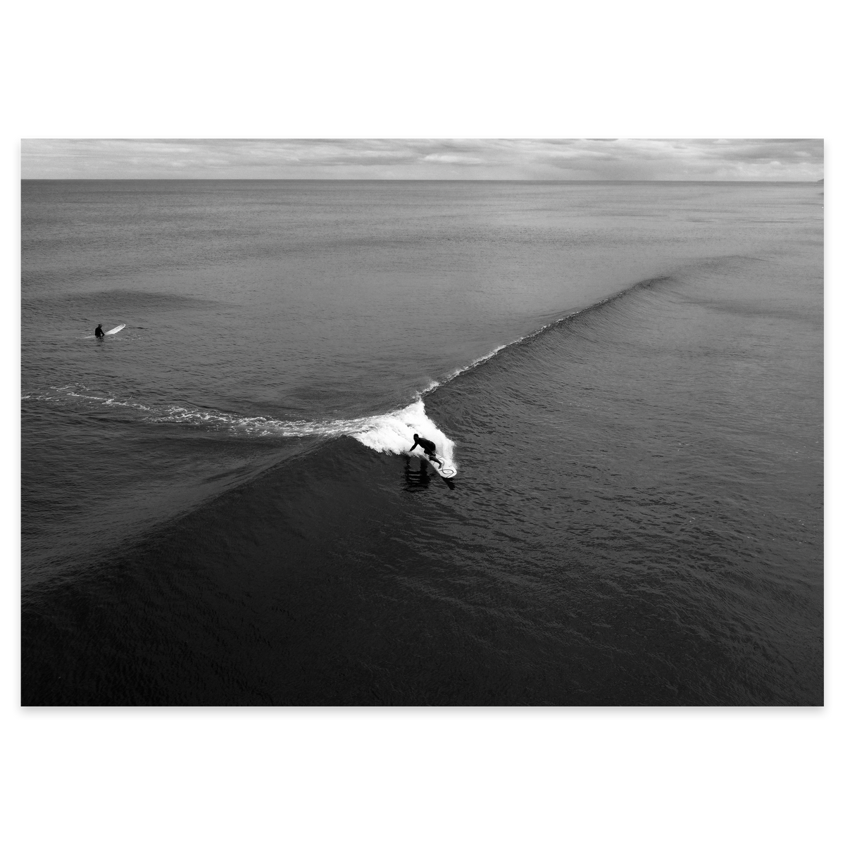 Port Waikato Carve