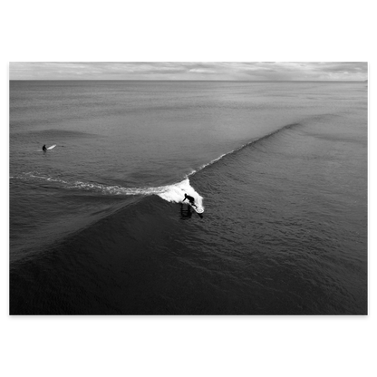 Port Waikato Carve
