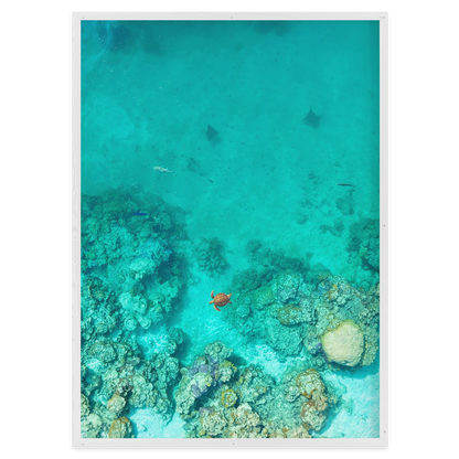 Reef Corridor