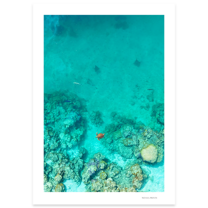 Reef Corridor
