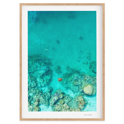 Reef Corridor