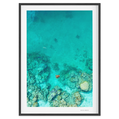 Reef Corridor