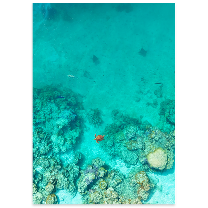 Reef Corridor