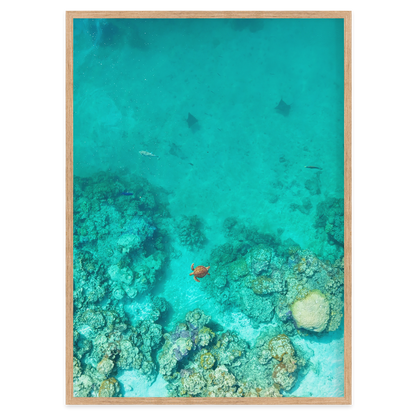 Reef Corridor