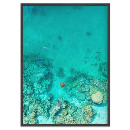 Reef Corridor
