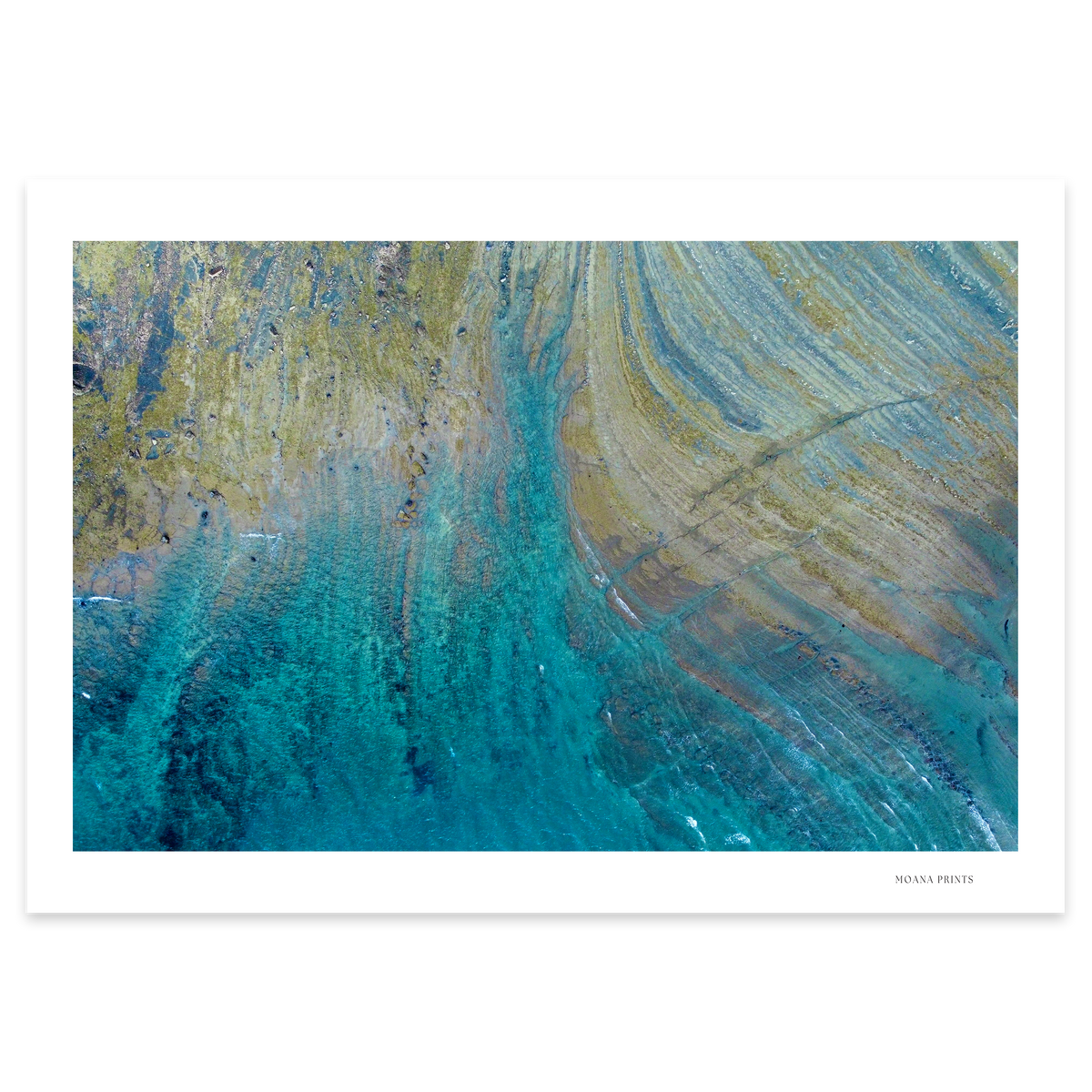 Rockpool Reflections