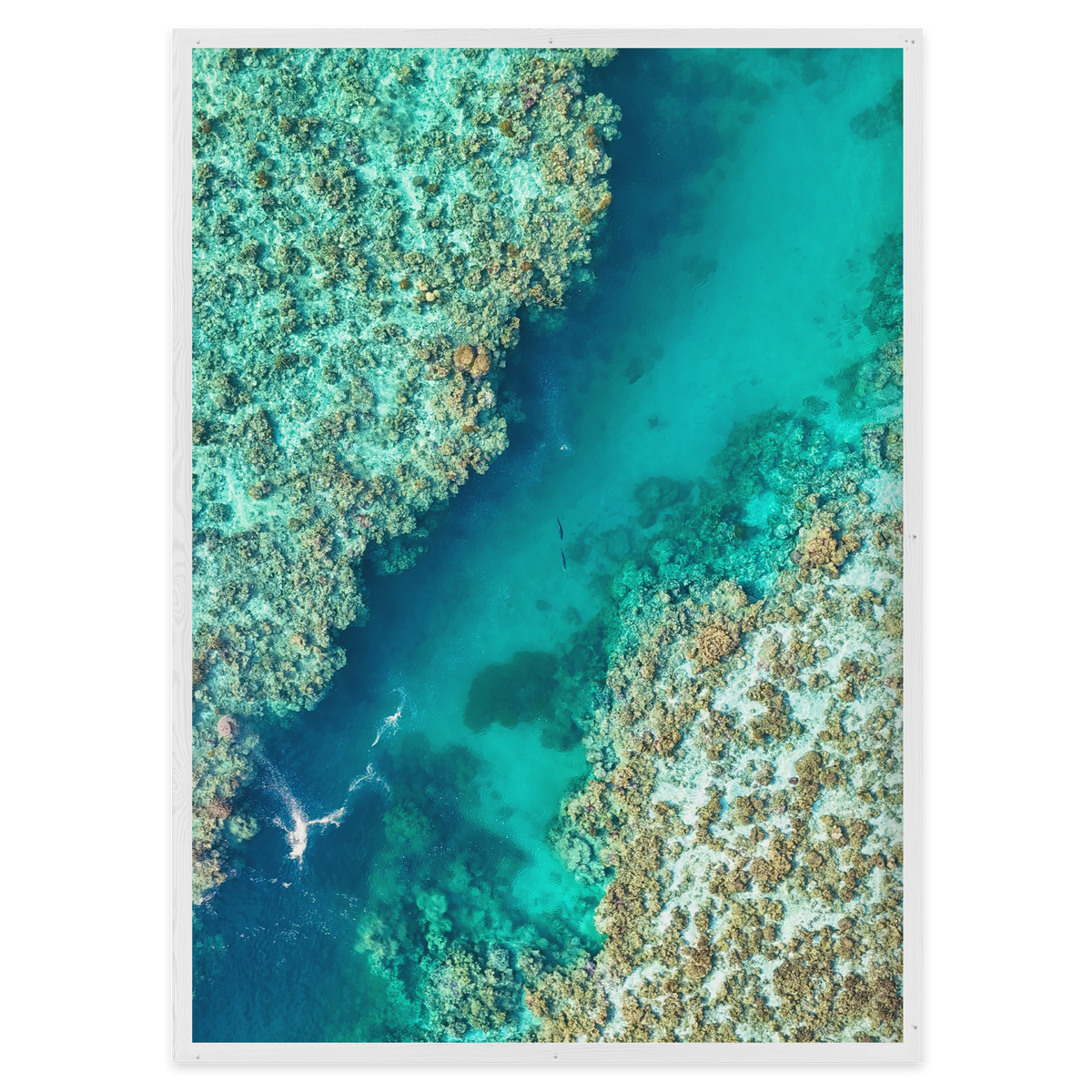 Shared Current