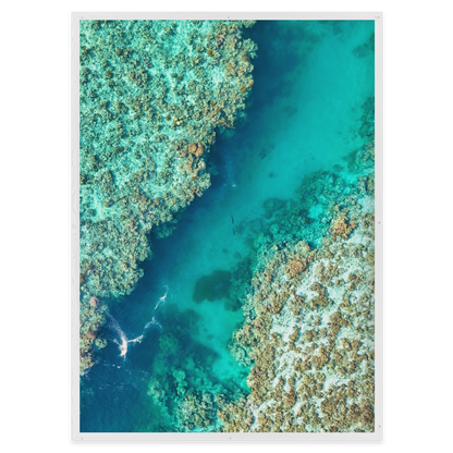 Shared Current