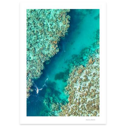 Shared Current