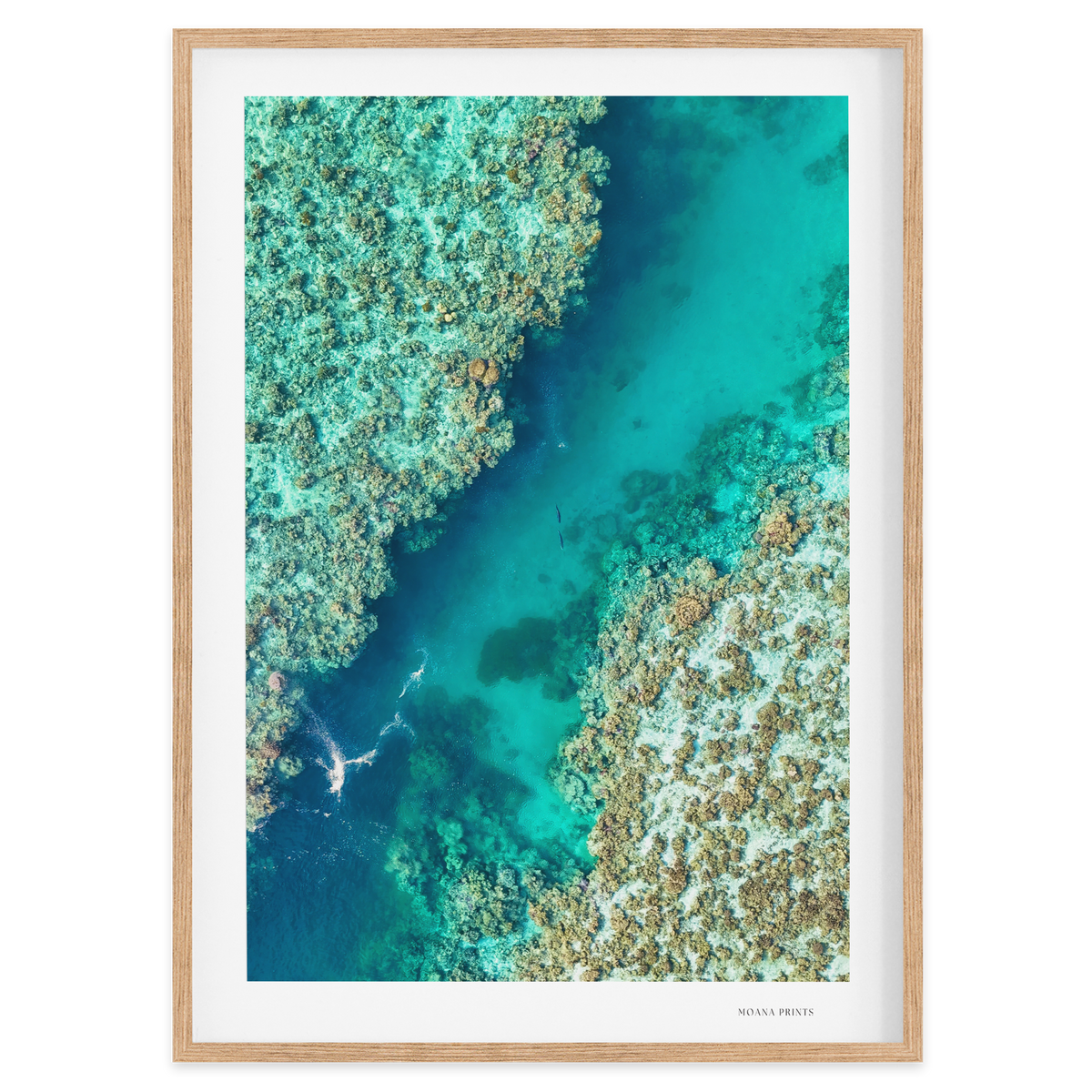 Shared Current