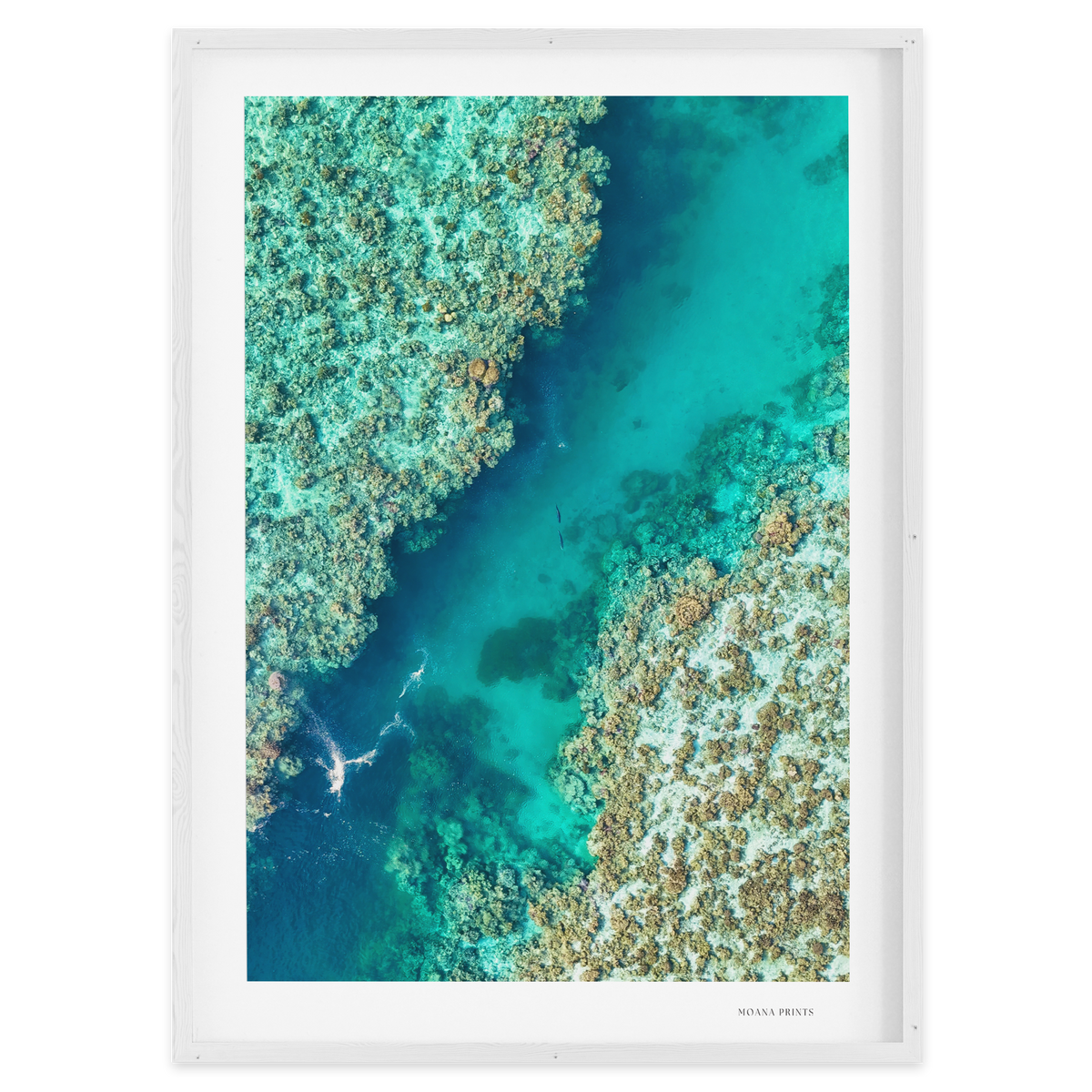 Shared Current